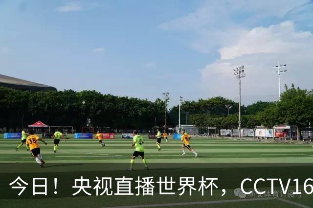 今日！央视直播世界杯，CCTV16转中超，网络转大连鲲城+可为+U17中国男篮+F1等